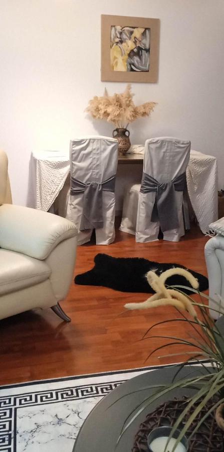 Lovely Cozy Apartment In The Entrance Of Nicosia Aglantzia Exteriör bild